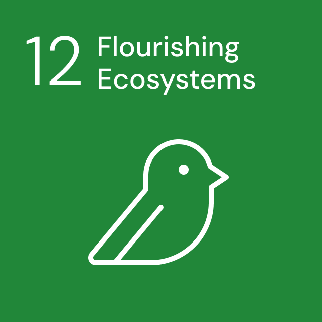 Icon of a bird arrows for Goal 12, representing Flourishing Ecosystems